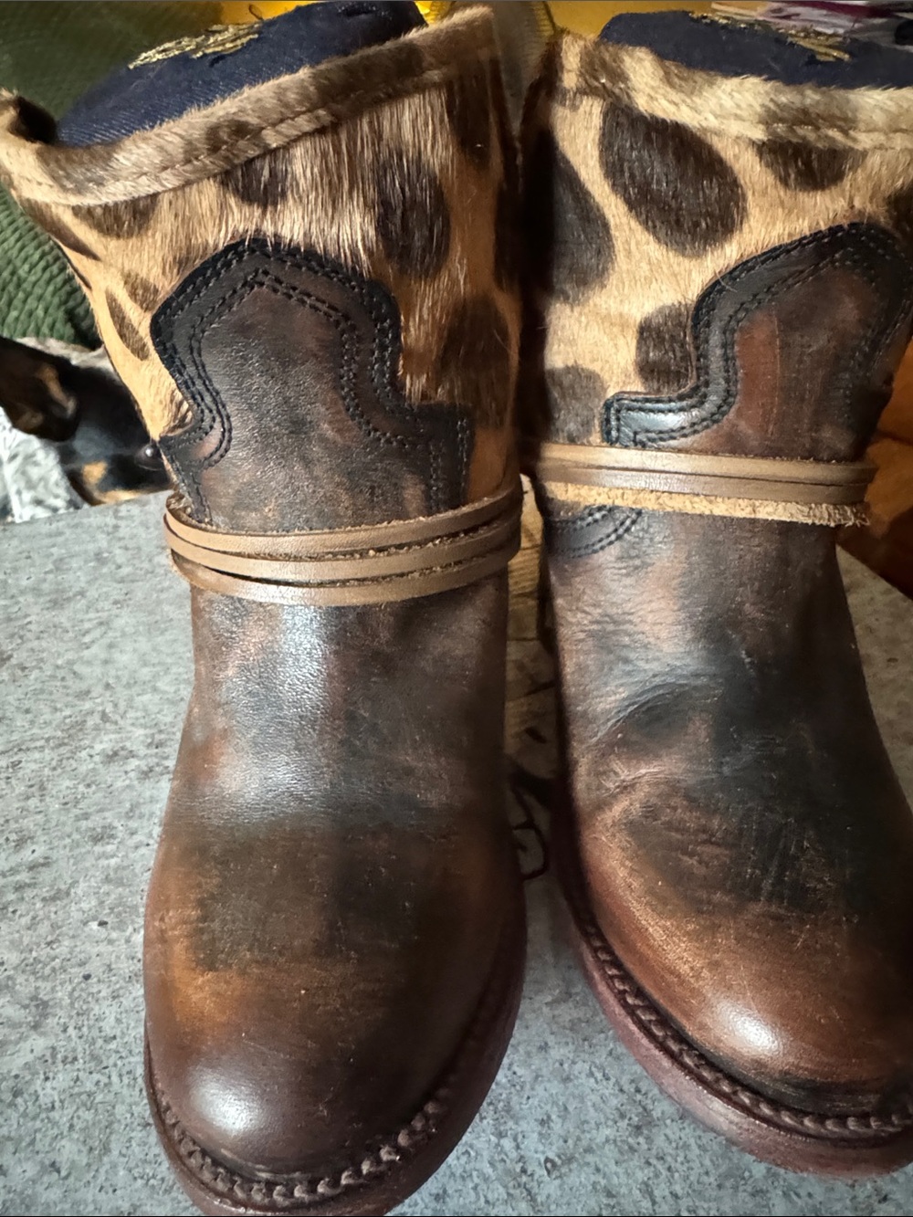 Freebird by Steven Hair on Hide Leopard Print Casey